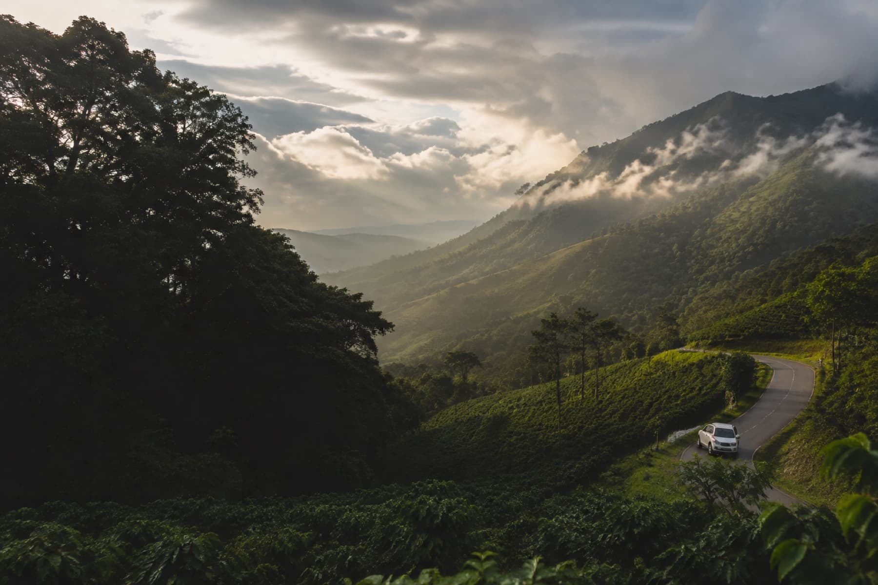 Mysore to Chikmagalur Road Trip Guide travel guide