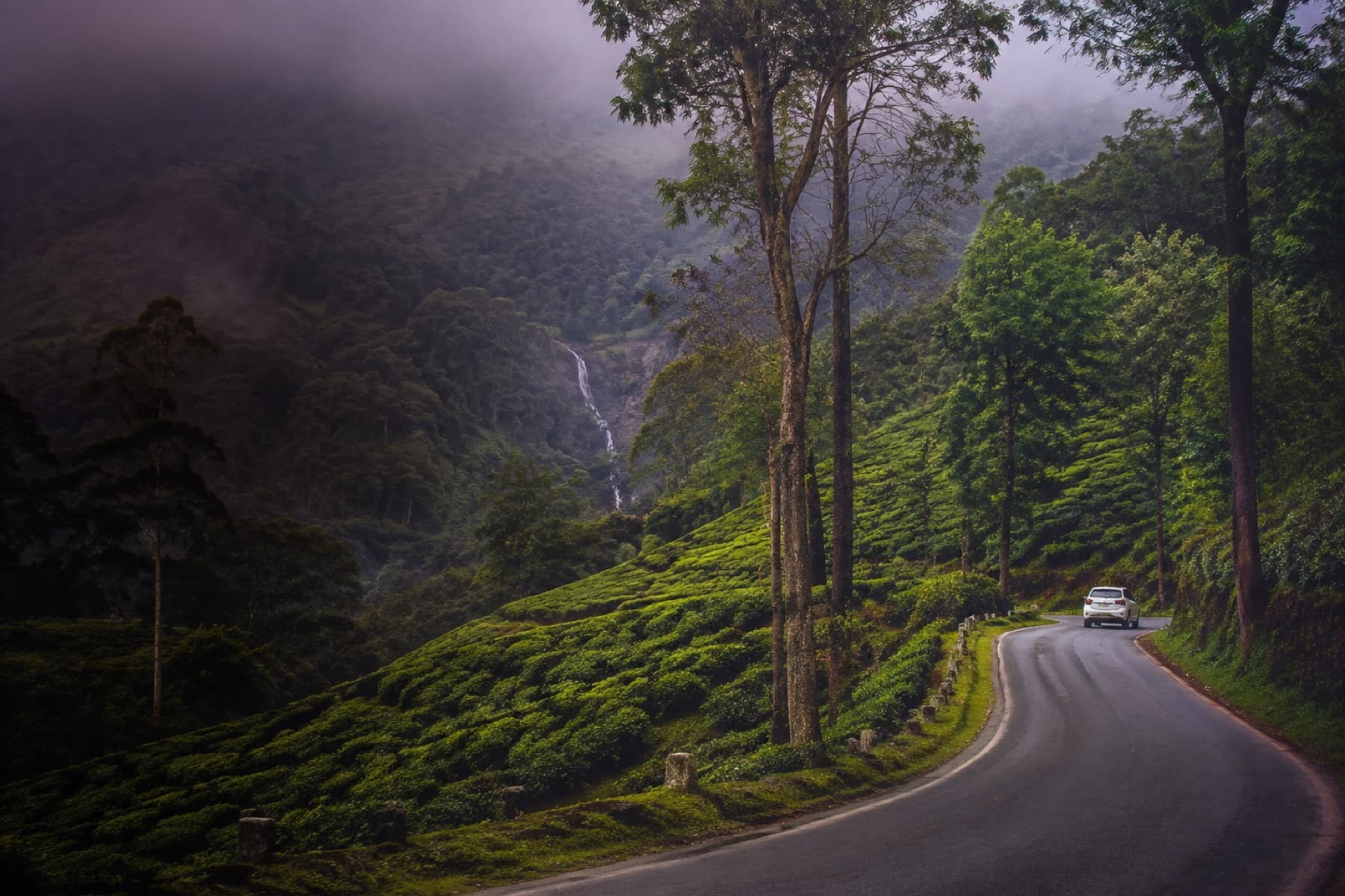 Mysore to Coorg Road Trip Guide travel guide
