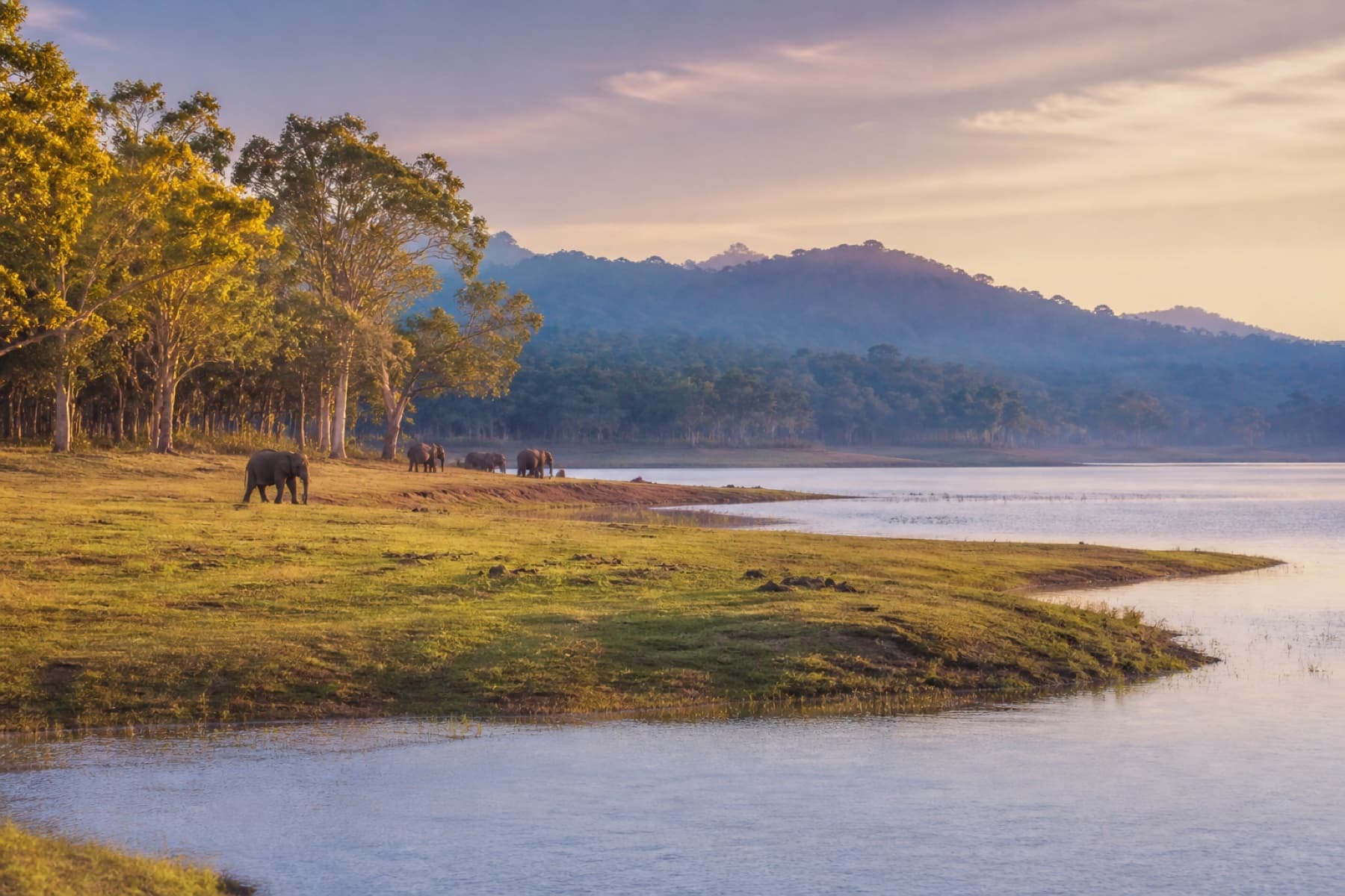 Kabini and Nagarhole tour package from Mysore