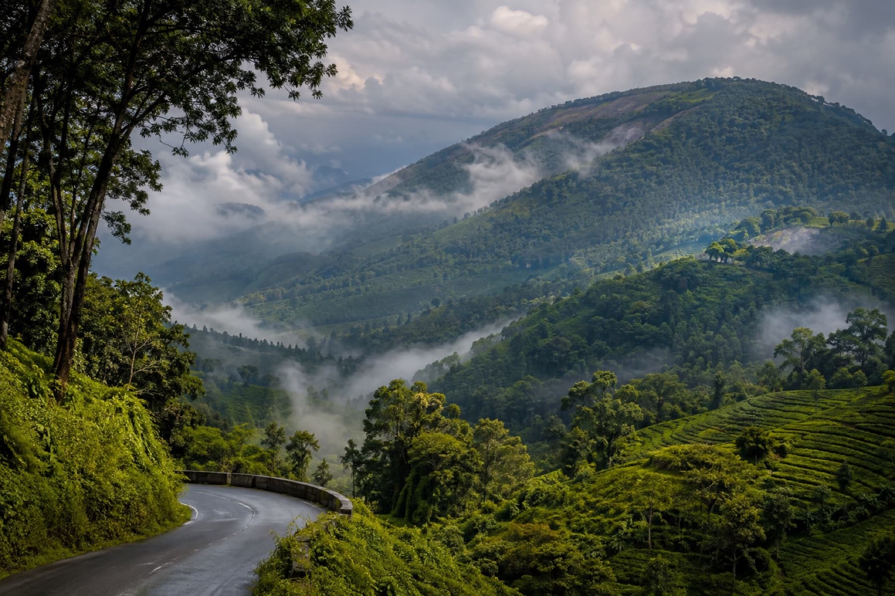 Mysore to Wayanad Road Trip Guide travel guide